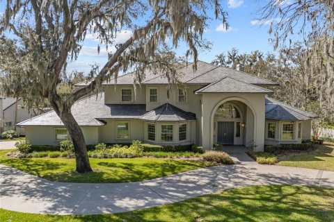 Villa ou maison à vendre à Brandon, Floride: 6 chambres, 759.29 m2 № 1084797 - photo 5