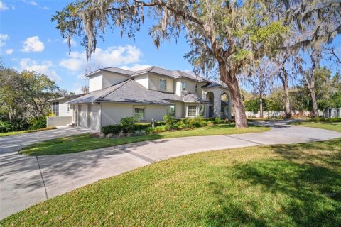 Villa ou maison à vendre à Brandon, Floride: 6 chambres, 759.29 m2 № 1084797 - photo 11