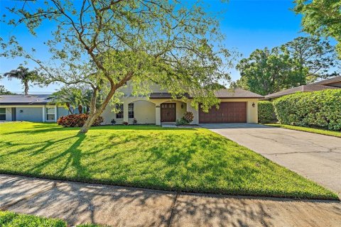 Villa ou maison à vendre à Tampa, Floride: 4 chambres, 181.25 m2 № 1089927 - photo 1