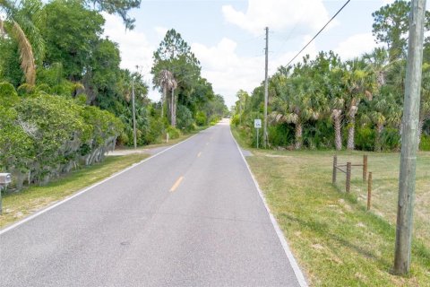 Land in De Leon Springs, Florida № 1275160 - photo 2