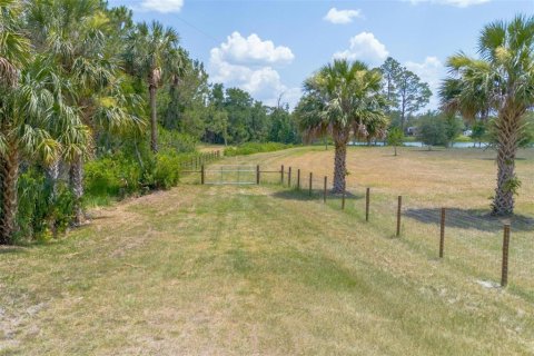 Terreno en venta en De Leon Springs, Florida № 1275160 - foto 4