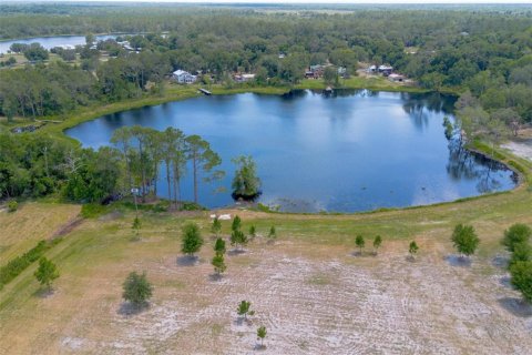 Terreno en venta en De Leon Springs, Florida № 1275160 - foto 27