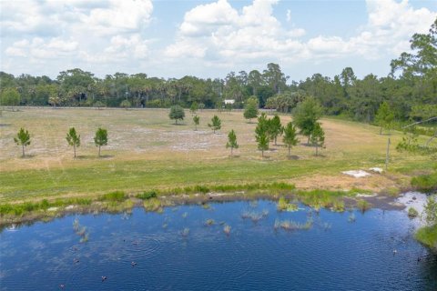 Terreno en venta en De Leon Springs, Florida № 1275160 - foto 12