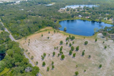 Terreno en venta en De Leon Springs, Florida № 1275160 - foto 26