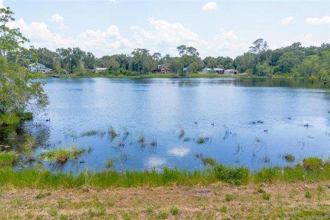 Terreno en venta en De Leon Springs, Florida № 1275160 - foto 9