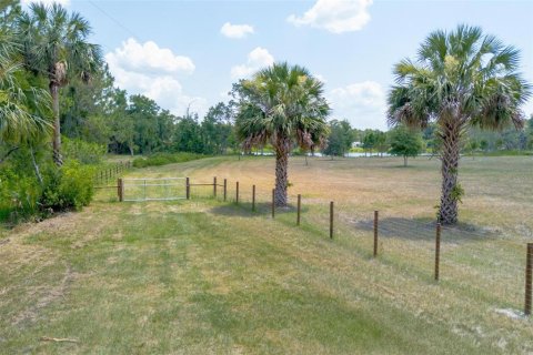 Land in De Leon Springs, Florida № 1275160 - photo 5