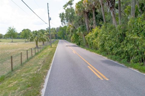 Land in De Leon Springs, Florida № 1275160 - photo 3