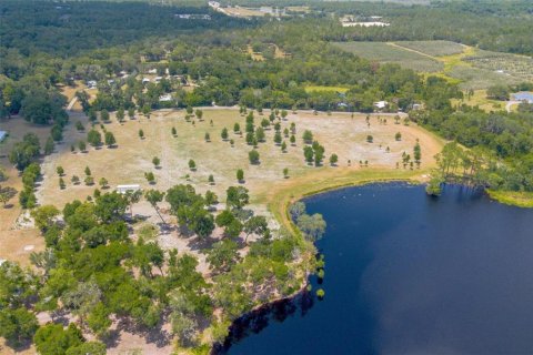 Terreno en venta en De Leon Springs, Florida № 1275160 - foto 15