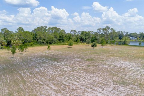 Land in De Leon Springs, Florida № 1275160 - photo 7