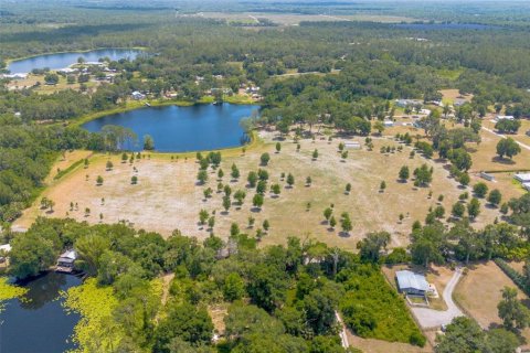 Terreno en venta en De Leon Springs, Florida № 1275160 - foto 21