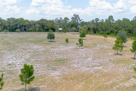 Terreno en venta en De Leon Springs, Florida № 1275160 - foto 8