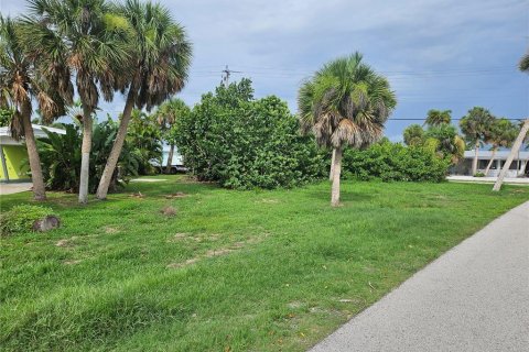 Terreno en venta en Englewood, Florida № 1275125 - foto 9