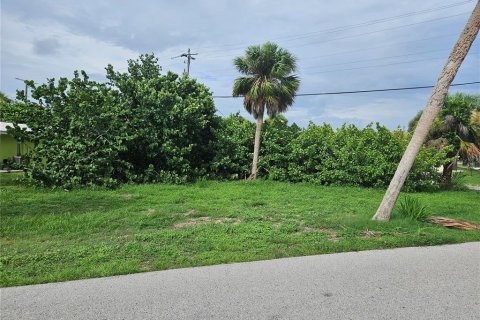 Terreno en venta en Englewood, Florida № 1275125 - foto 10