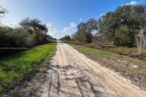 Terrain à vendre à Okeechobee, Floride № 1217000 - photo 6