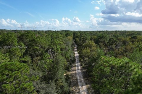 Land in Okeechobee, Florida № 1217000 - photo 5