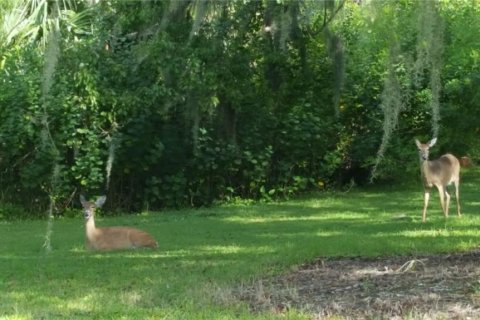 Terreno en venta en Sorrento, Florida № 1429540 - foto 1