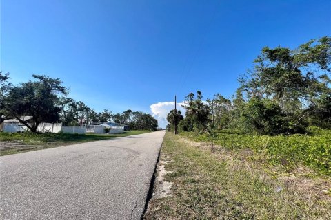 Land in Port Charlotte, Florida № 1275032 - photo 3