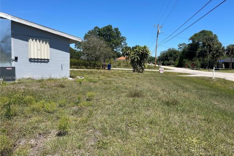 House in Lehigh Acres, Florida 4 bedrooms № 1030846 - photo 29