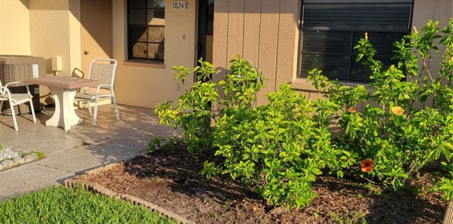 Condo in Zephyrhills, Florida, 2 bedrooms  № 1258010