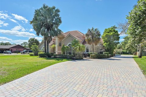 Villa ou maison à vendre à Parkland, Floride: 5 chambres, 480.58 m2 № 1040876 - photo 11