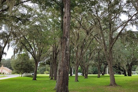 Villa ou maison à vendre à Ocala, Floride: 4 chambres, 169.83 m2 № 1351213 - photo 16