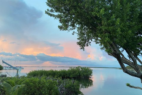 Villa ou maison à vendre à Key Largo, Floride: 2 chambres, 96.62 m2 № 1051443 - photo 20