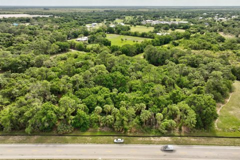 Land in Okeechobee, Florida № 1094671 - photo 12