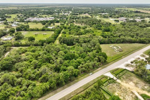 Land in Okeechobee, Florida № 1094671 - photo 8