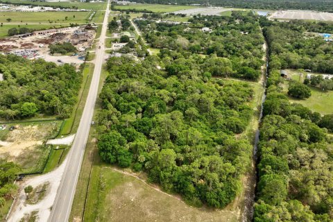 Land in Okeechobee, Florida № 1094671 - photo 3