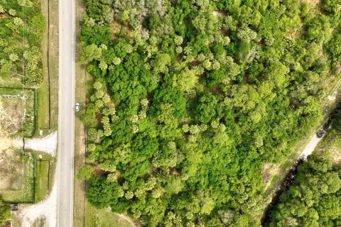 Land in Okeechobee, Florida № 1094671 - photo 1