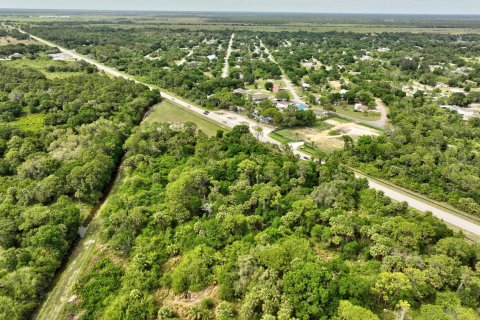 Land in Okeechobee, Florida № 1094671 - photo 6