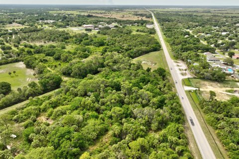 Land in Okeechobee, Florida № 1094671 - photo 7