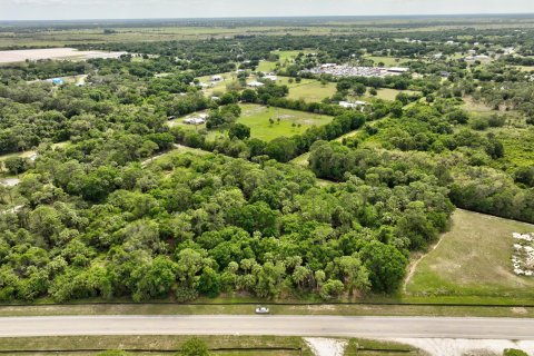 Land in Okeechobee, Florida № 1094671 - photo 10