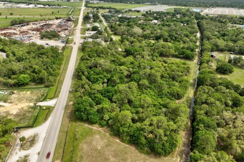 Land in Okeechobee, Florida № 1094671 - photo 2