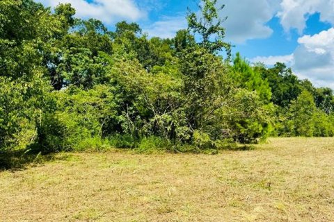 Land in Reddick, Florida № 1347206 - photo 2