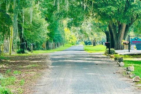 Land in Reddick, Florida № 1347206 - photo 9