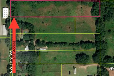 Land in Reddick, Florida № 1347206 - photo 11