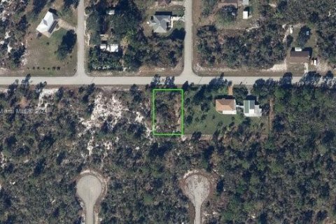 Terrain à vendre à Lake Placid, Floride № 1045634 - photo 1