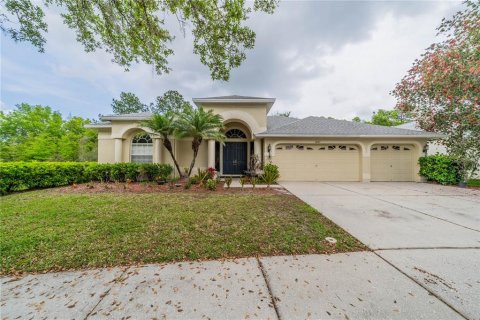 House in Tampa, Florida 4 bedrooms, 332.03 sq.m. № 1083462 - photo 1