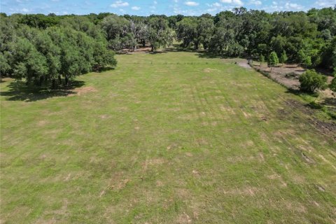 Land in Dade City, Florida № 1283164 - photo 10