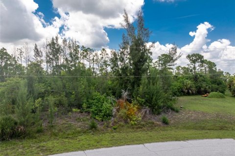 Terrain à vendre à Port Charlotte, Floride № 1264077 - photo 25