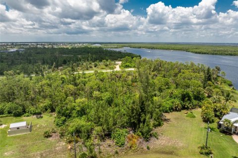 Land in Port Charlotte, Florida № 1264077 - photo 5