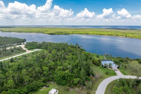 Land in Port Charlotte, Florida № 1264077 - photo 13