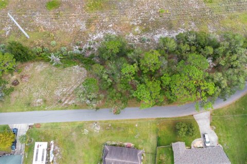 Land in DeLand, Florida № 1424350 - photo 2