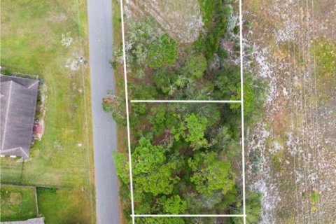 Land in DeLand, Florida № 1424350 - photo 1