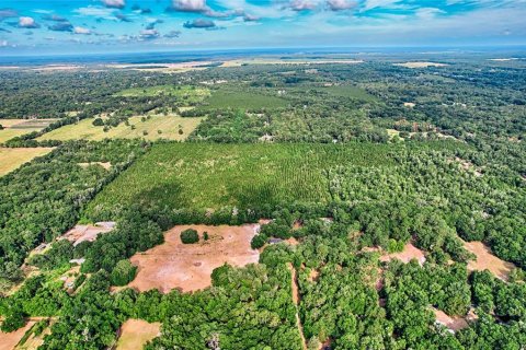 Land in Archer, Florida № 1244010 - photo 10