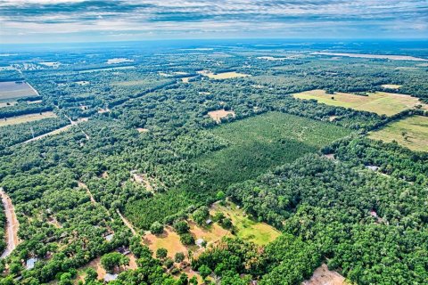 Terreno en venta en Archer, Florida № 1244010 - foto 7