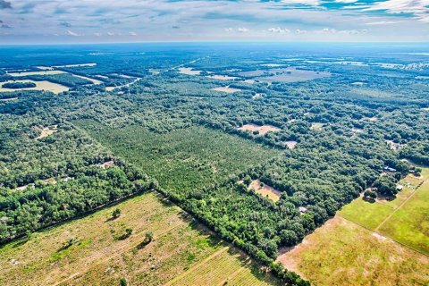 Land in Archer, Florida № 1244010 - photo 5