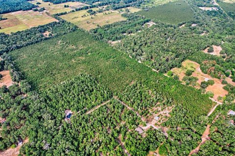 Land in Archer, Florida № 1244010 - photo 11