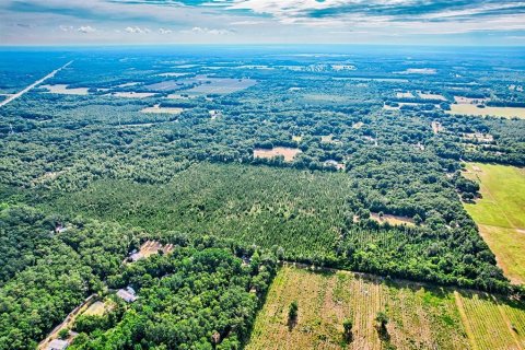 Terreno en venta en Archer, Florida № 1244010 - foto 9